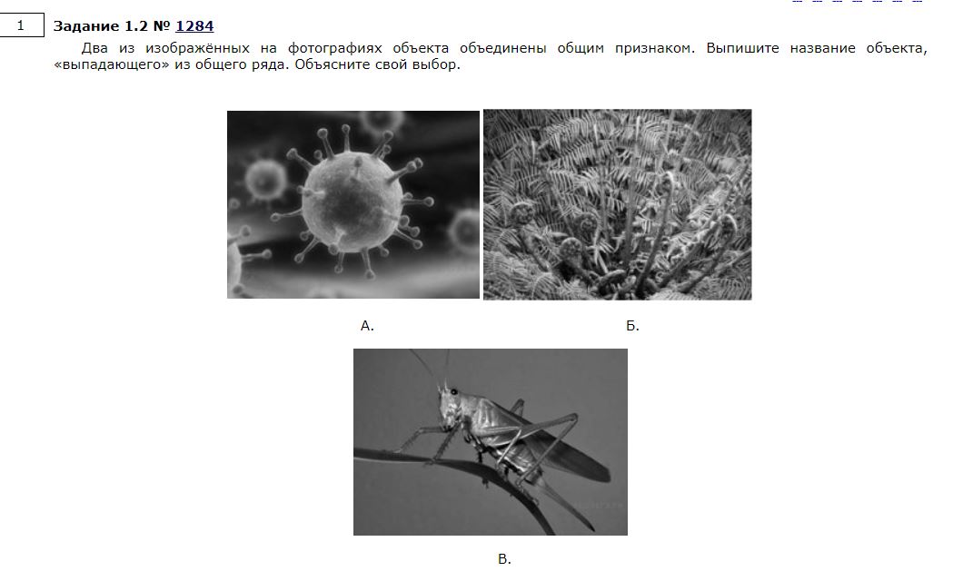Впр биология 5 кл 2024 с ответами